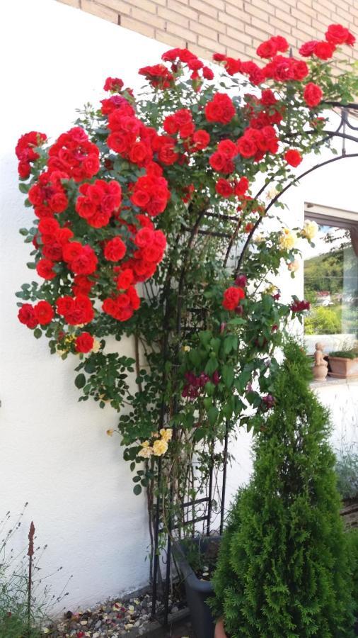 Ferienwohnung Rosentraum Oberotterbach ภายนอก รูปภาพ